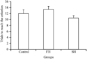 Image for - A Critical Period for Deleterious Effect of Prenatal Alcohol Exposure on Working Memory