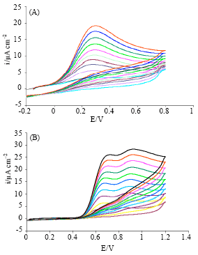 Image for - In vitro Evaluation of Antioxidant Capacity of Algerian Propolis by Spectrophotometrical and Electrochemical Assays