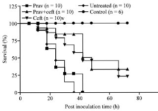 Image for - Moderation of Immunopathological Parameters by Pravastatin in Pasteurella multocida (Pm52) Induced Septicaemic Mice