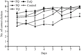 Image for - A Critical Period for Deleterious Effect of Prenatal Alcohol Exposure on Working Memory