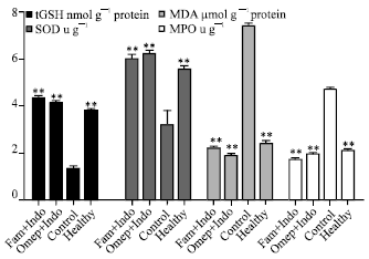 Image for - The Role of Alpha-2 Adrenergic Receptors in the Anti-ulcerative Activity of Famotidine and Omeprazole in Rats and its Relationship with Oxidant-antioxidant Parameters