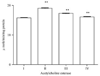 Image for - Ameliorating Effect of Ethanol Leaf Extract of Ficus hispida Linn. on Amyloid beta Aβ (25-35) Induced Cognitive Deficits and Oxidative Stress in Alzheimer’s Mice