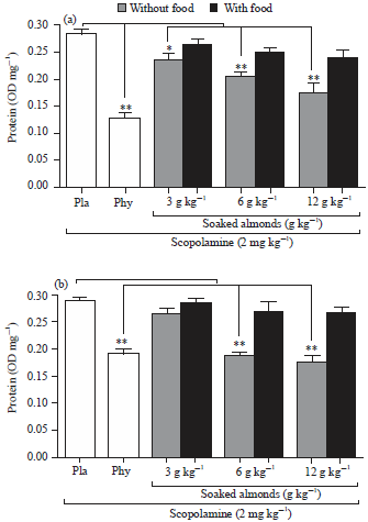 Image for - Soaked Almonds Exhibit Vitamin E-dependent Memory Protective Effect in Rodent Models