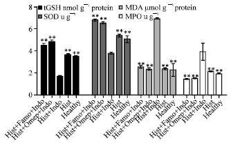 Image for - The Role of Alpha-2 Adrenergic Receptors in the Anti-ulcerative Activity of Famotidine and Omeprazole in Rats and its Relationship with Oxidant-antioxidant Parameters