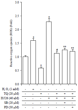 Image for - Effects of Thymoquinone and Iksan 526 callus Extract on B16F10 and A375 Cell Lines
