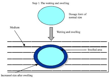 Image for - An Exhaustive Review on Recent Advancement in Pharmaceutical Bioadhesive Used for Systemic Drug Delivery Through Oral Mucosa for Achieving Maximum Pharmacological Response and Effect