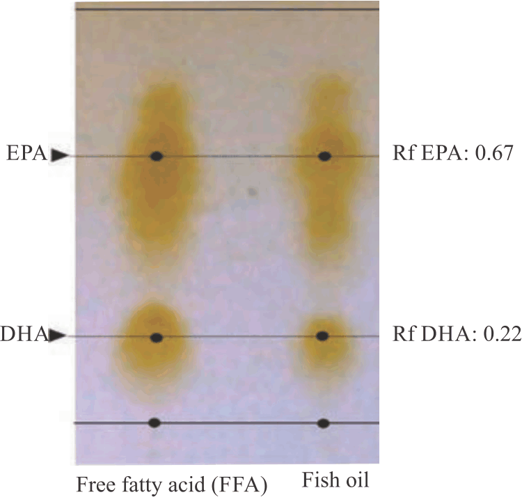 Image for - Enhanced Bioavailability of Epigallocatechin Gallate (EGCG) after Esterification and Complexation with Fish Oil