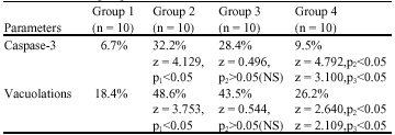 Image for - Evaluation of the Chemoprotective Role of N-Acetylcysteine on Cisplatin-Induced Nephrotoxicity: New Aspect of an Old Drug