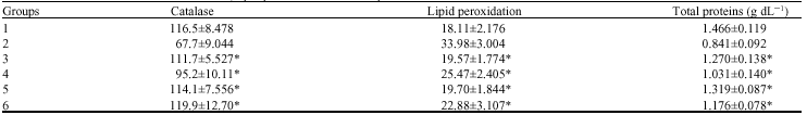 Image for - Hepatoprotective Activity of Livobond A Polyherbal Formulation Against CCl4 Induced Hepatotoxicity in Rats
