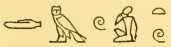 Gods1 3525