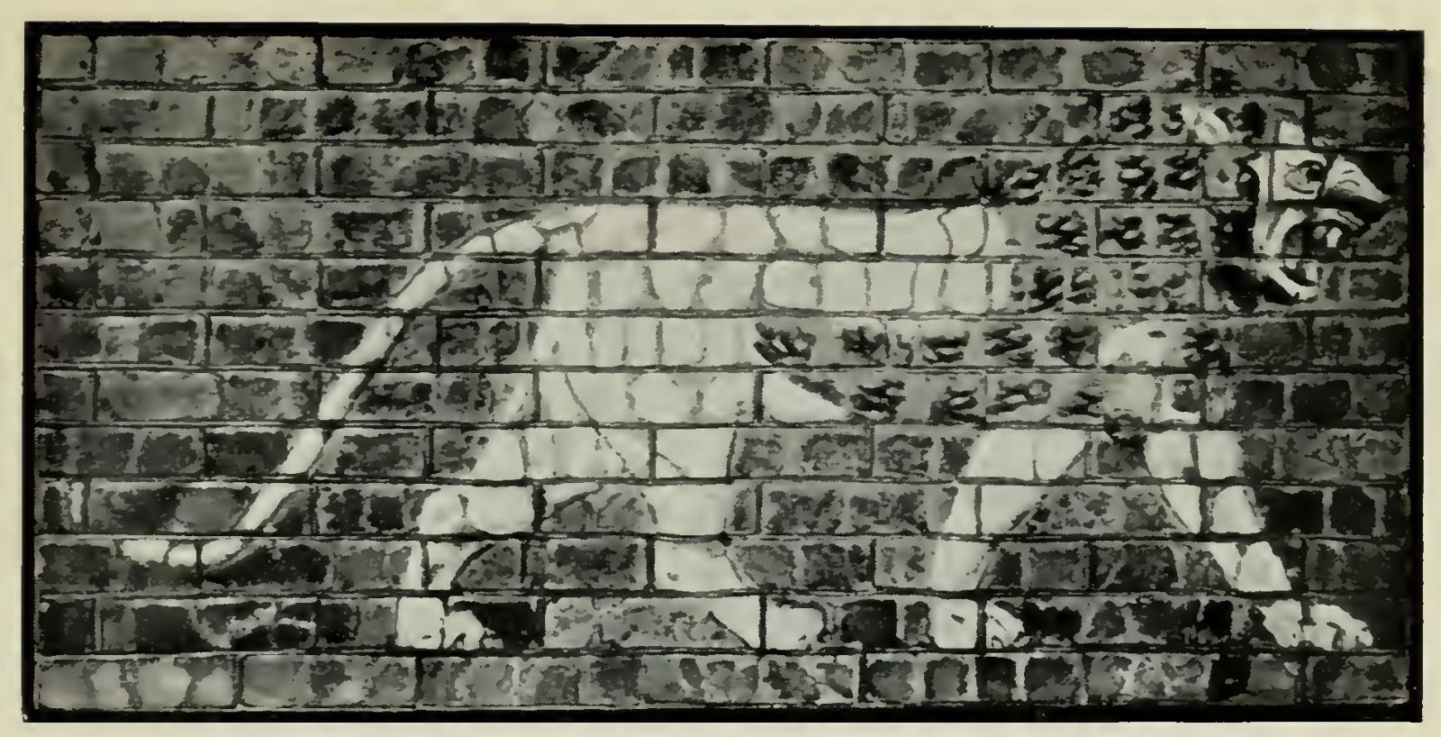 Fig. 1. Lion of Babylon