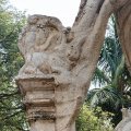 photo detail