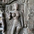 photo detail