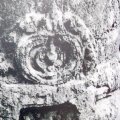 photo detail