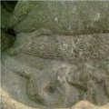 photo detail