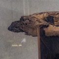 photo detail