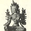 photo detail