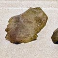 photo detail
