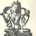 photo detail