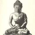 photo detail