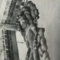 photo detail