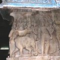 photo detail