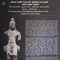 photo detail