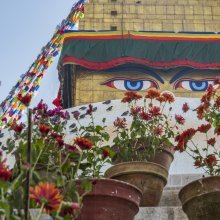 gallery thumb
