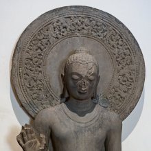gallery thumb