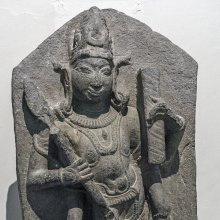gallery thumb
