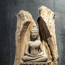 gallery thumb