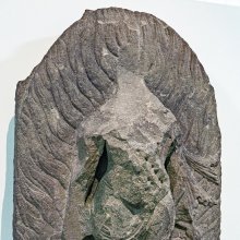 gallery thumb