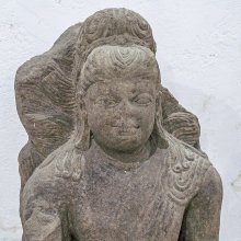 gallery thumb