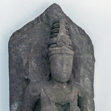 gallery thumb