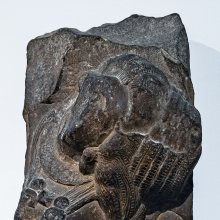 gallery thumb