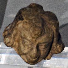 gallery thumb