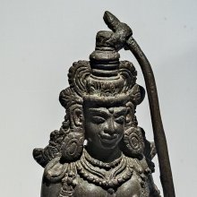 gallery thumb