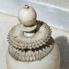 gallery thumb