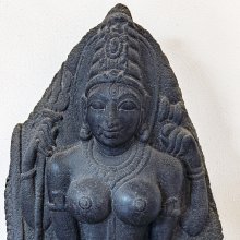 gallery thumb