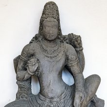 gallery thumb