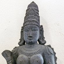 gallery thumb