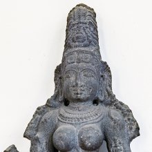 gallery thumb