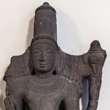 gallery thumb