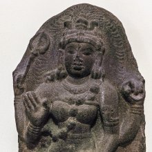 gallery thumb