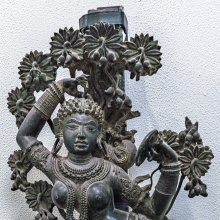 gallery thumb