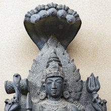 gallery thumb