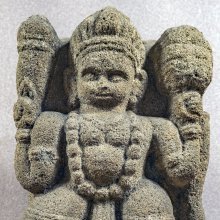gallery thumb