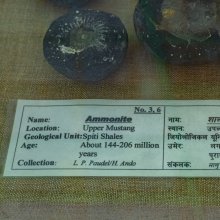 Aget definition clearance