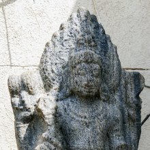 gallery thumb