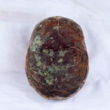 gallery thumb